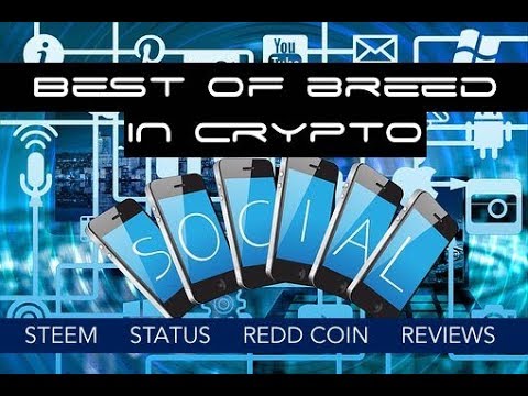 Best of Breed Review in Cryptocurrency Social Media sector with Steem, Status SNT, and Redd Coin RDD