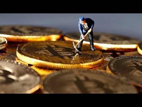 RIPPLE XRP BITRUE ALL! APOLLO OKEX NEW WALLET FOX BUSINESS/W12 GROUND FLOOR LOW COIN COUNT!