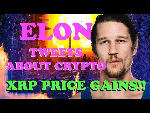 Ripple XRP Price EOY Now?! - Elon Musk Tweets about ...
