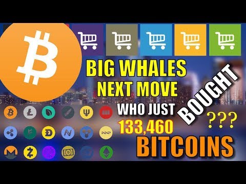 Bitcoin Latest News Hindi Coin Crypto News - 