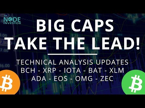 Large Caps Lead the Way Higher! Technical Analysis update for BCH XRP IOTA BAT and more