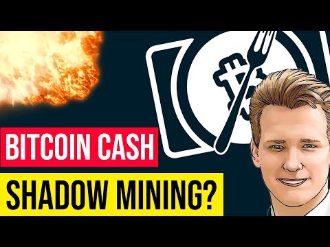 WILL BITCOIN CASH SURVIVE? ? Fork Aftermath