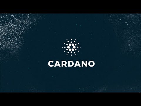 Cardano Fork, The “Bitcoin Killer”, Stocking Up On Bitcoin & CoinSquare In Europe