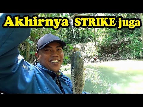 Mancing Mujaer Coin Crypto News