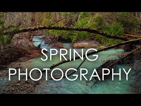 SPRING Photography TIPS and CHALLENGE with Canon EOS M50, 5D mark III and Smartphone