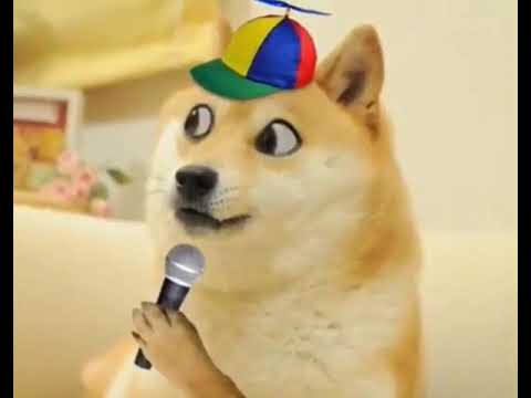 Doge Meme Coin Crypto News - 