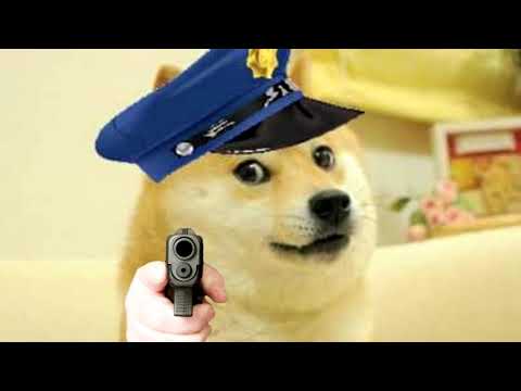 doge.mp4 (full version in comments)