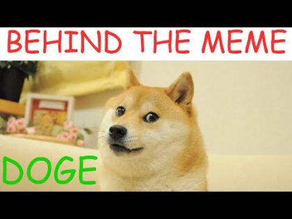 is doge alive 2020 | Coin Crypto News