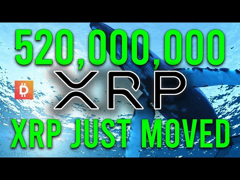 Ripple XRP News: Whales Just Moved 520 MILLION XRP, What Does This Mean For XRP Price?