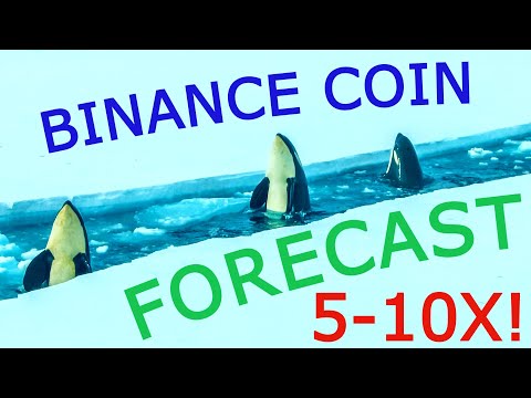 Binance Coin(BNB) May Skyrocket Sooner Than You Think