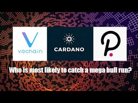 Vechain(VET), Cardano(ADA), and Polkadot(DOT), which of these will catch the next major Bull Run?