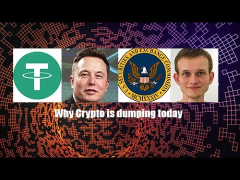 dumb money in crypto