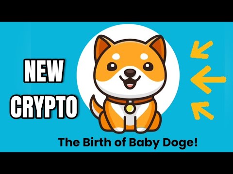 NEW COIN BABY DOGE OMG Tienes que ver ESTO ↗️ The Birth of ...