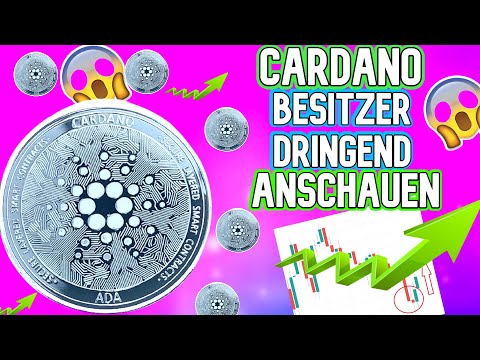 CARDANO BESITZER etwas KOMISCHES PASSIERT GERADE - ada ...