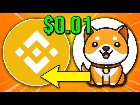 BABY DOGE COIN BINANCE LISTING !? ! HUGE BABY DOGE COIN PRICE UPDATE ...