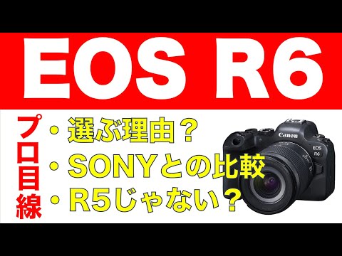 EOS R6を仕事撮影用に選ぶ理由。SONY・Nikon・EOS  R5でない理由や、EOS R6の不満点などについてもお話しします